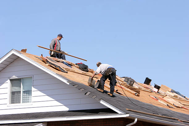 Best Metal Roofing Installation  in Strawberry Plains, TN